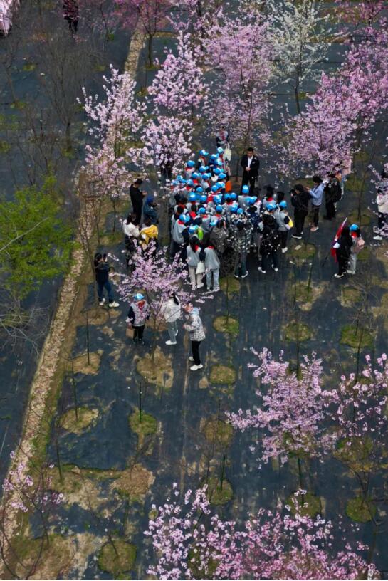 在“国樱摇篮”园科院，共赴?；文昊? onmousewheel=