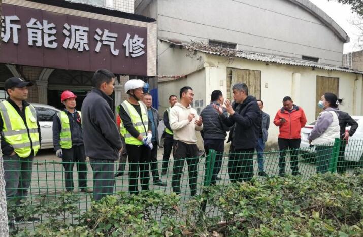 专家助力灾后树木复壮