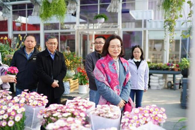 省住建厅领导参加植树活动并调研绿色驿站