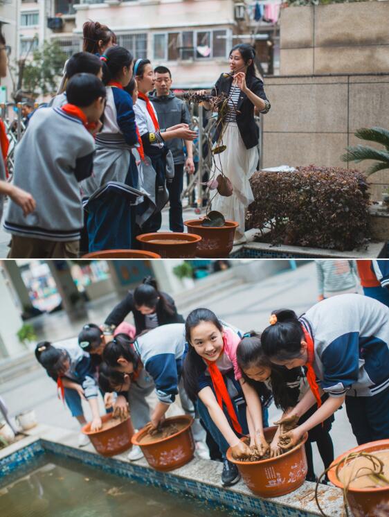 认识睡莲，种下春天