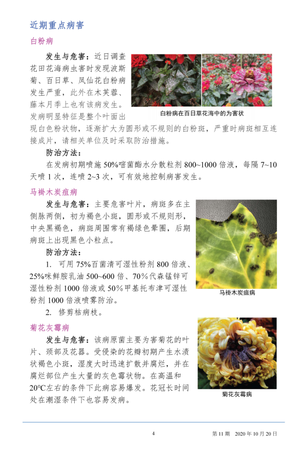 武汉园林病虫害预测预报 2020年第11期