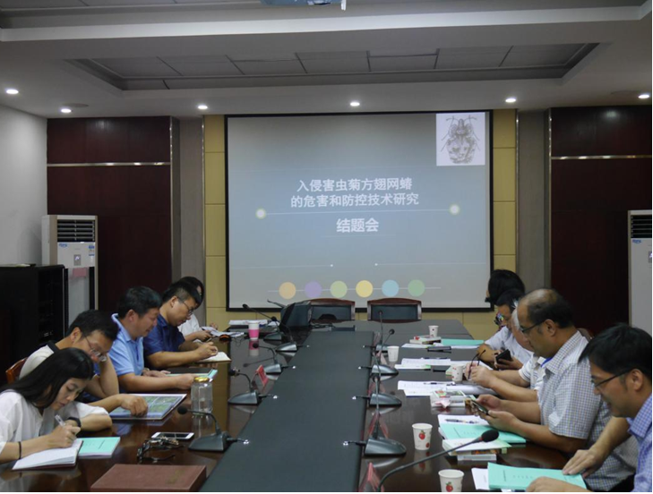 《入侵害虫菊方翅网蝽的危害和防控技术研究》通过专家验收