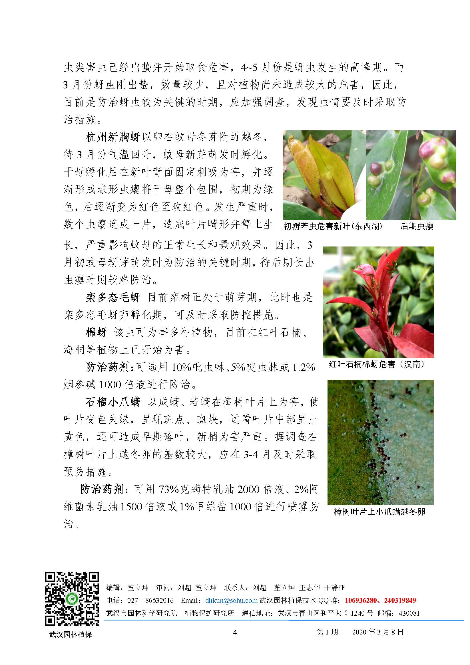 武汉园林病虫害预测预报 2020年第1期