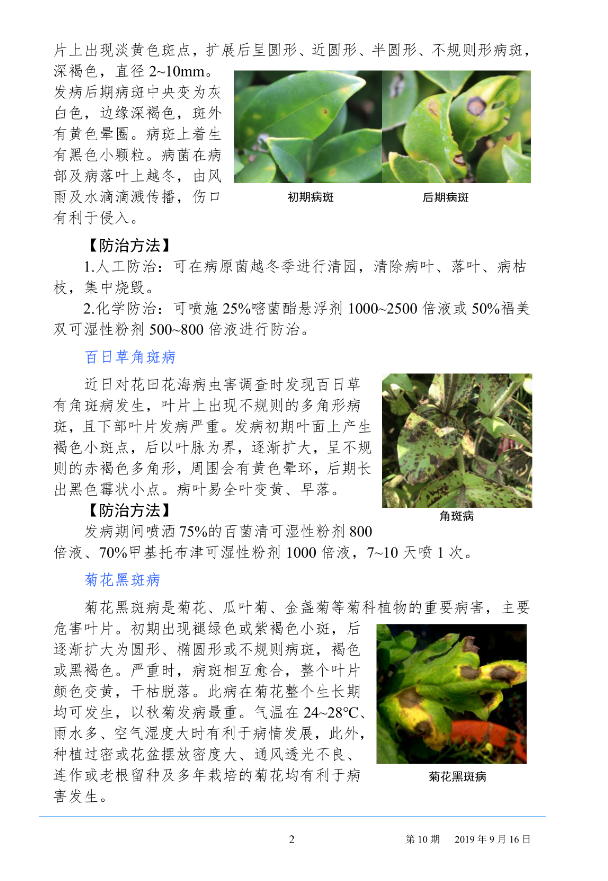 武汉园林病虫害预测预报 2019 年第 10 期
