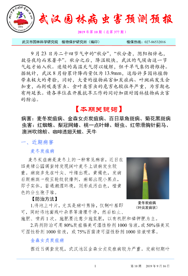 武汉园林病虫害预测预报 2019 年第 10 期