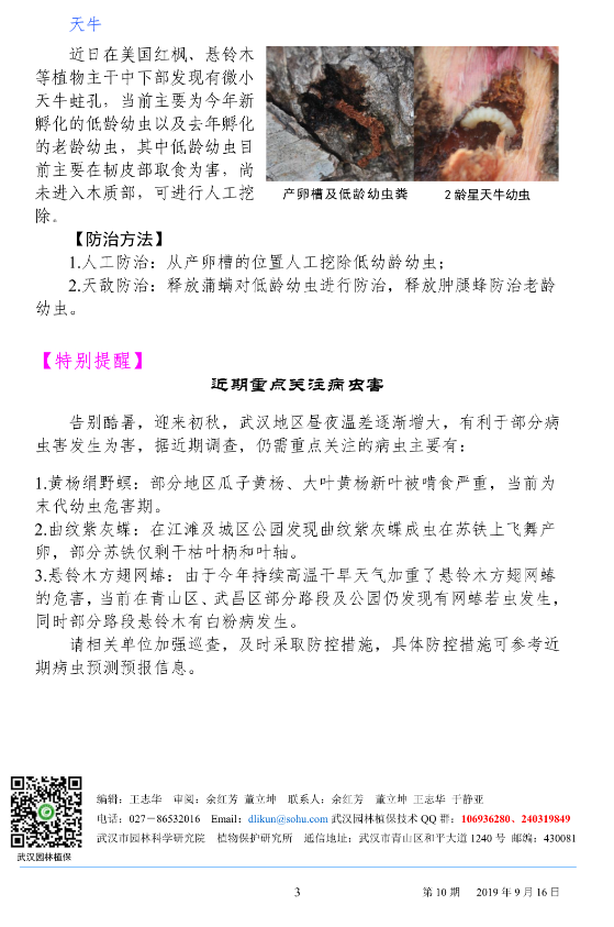 武汉园林病虫害预测预报 2019 年第 10 期