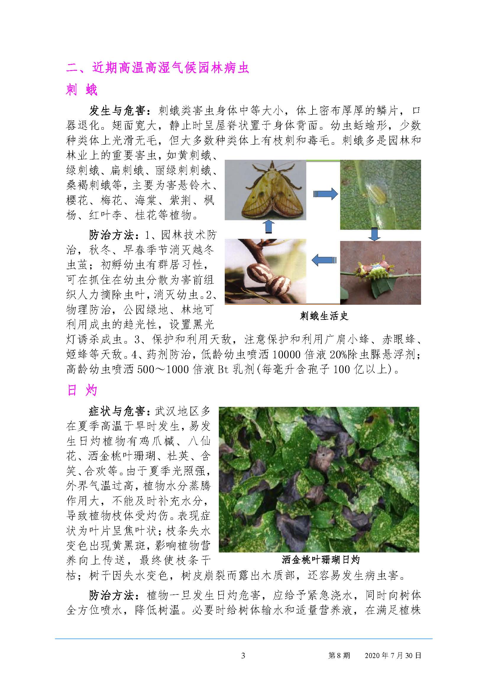 武汉园林病虫害预测预报 2020年第8期