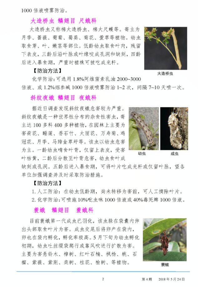 武汉园林病虫害预测预报2018年第四期