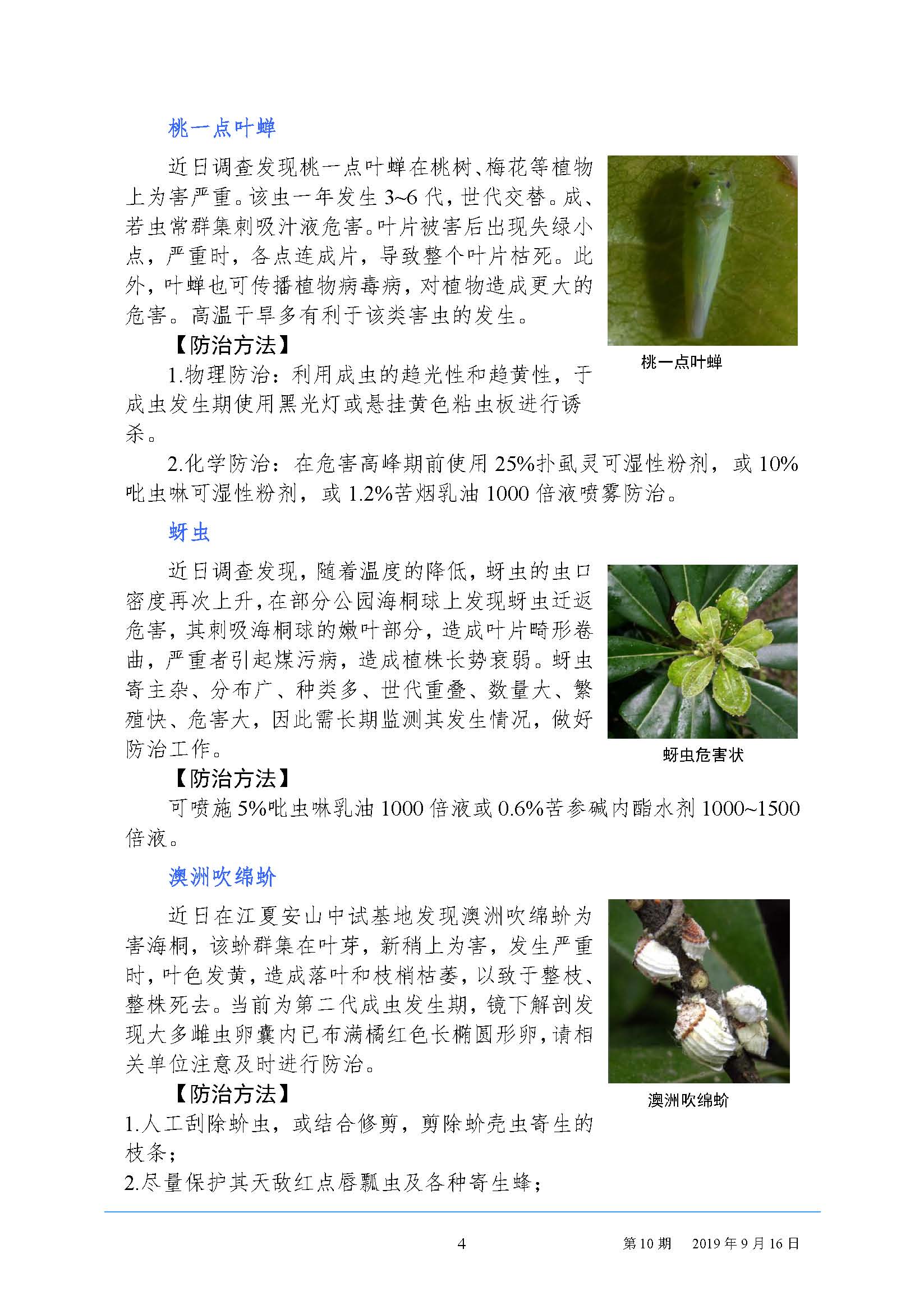 武汉园林病虫害预测预报 2019 年第10期