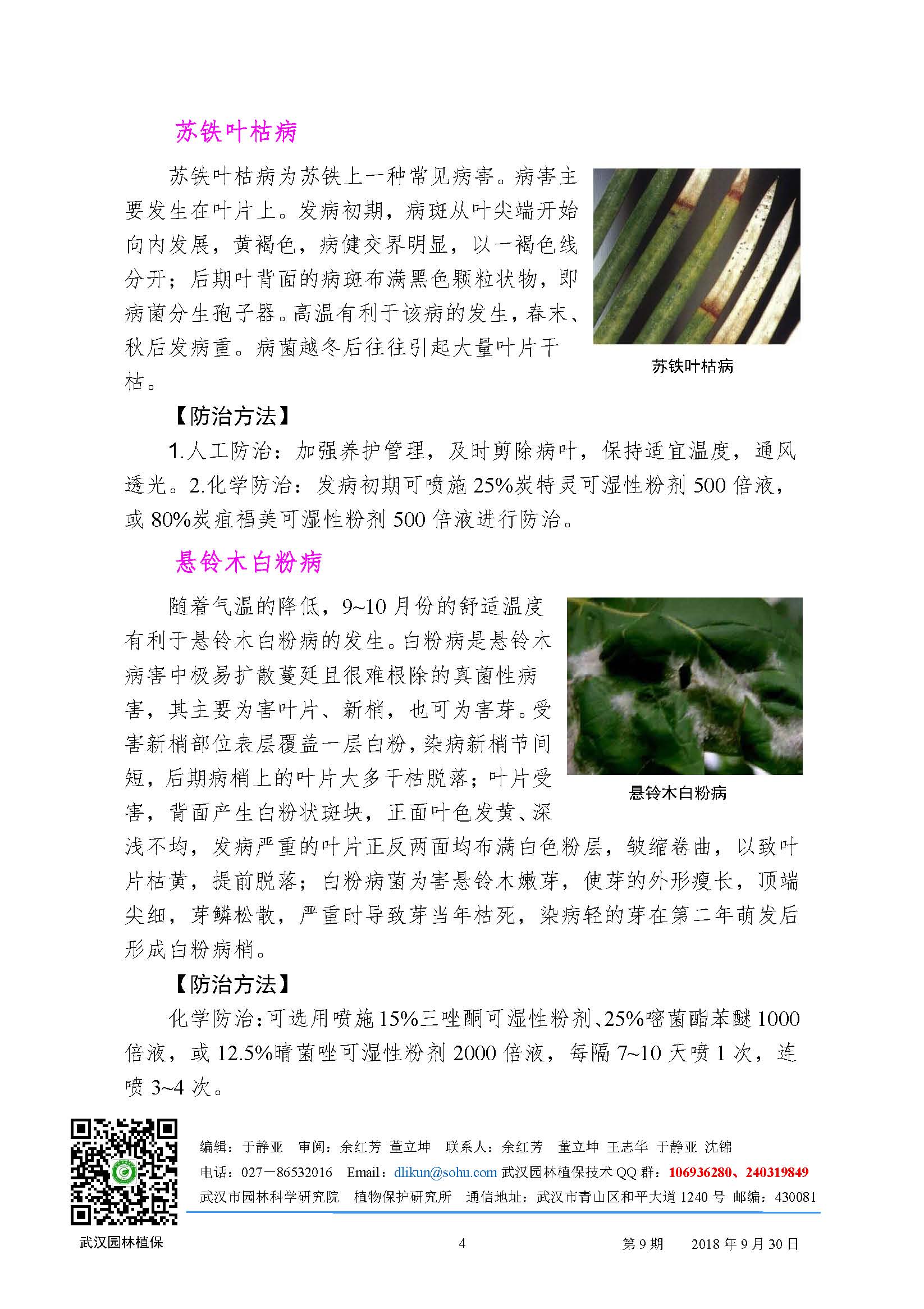园林病虫害预测预报（2018年第9期）