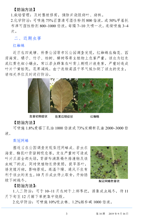 武汉园林病虫害预测预报 2019 年第 10 期