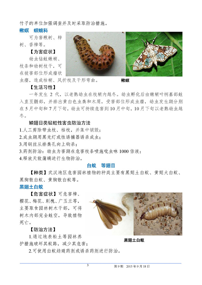 武汉园林植保信息2015年第9期