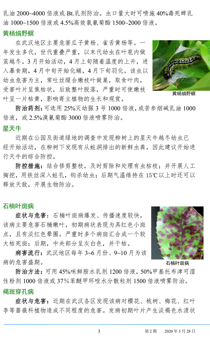 武汉园林病虫害预测预报 2020年第2期