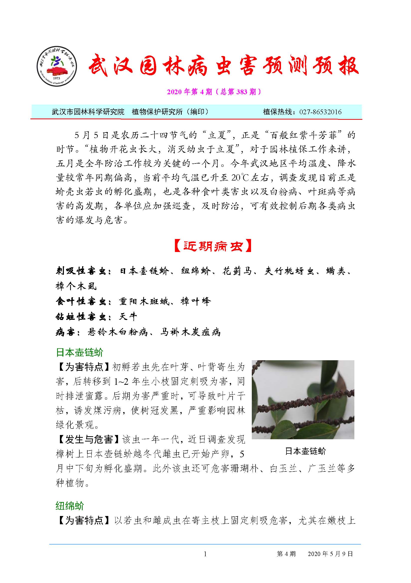 武汉园林病虫害预测预报 2020年第4期