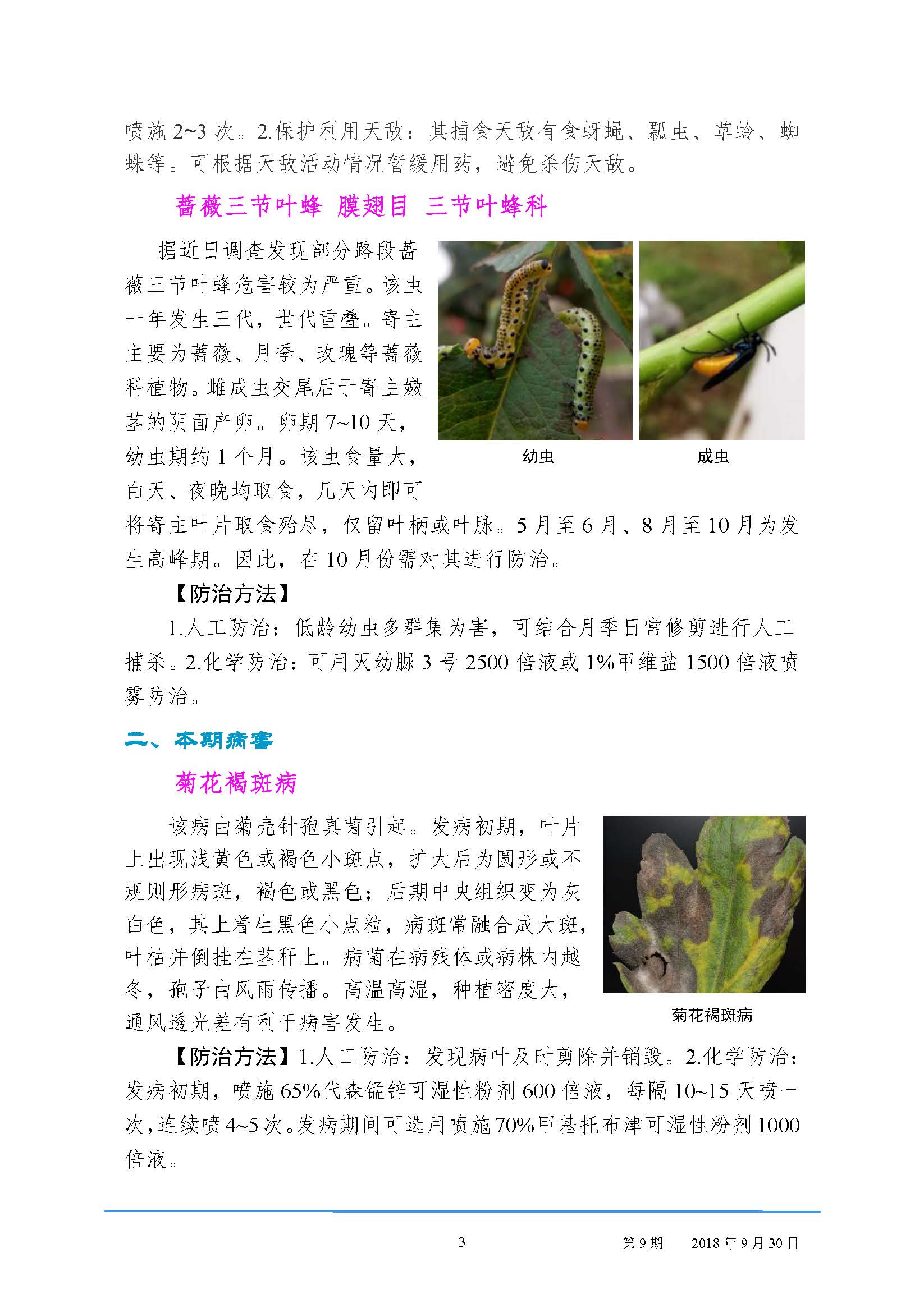 园林病虫害预测预报（2018年第9期）
