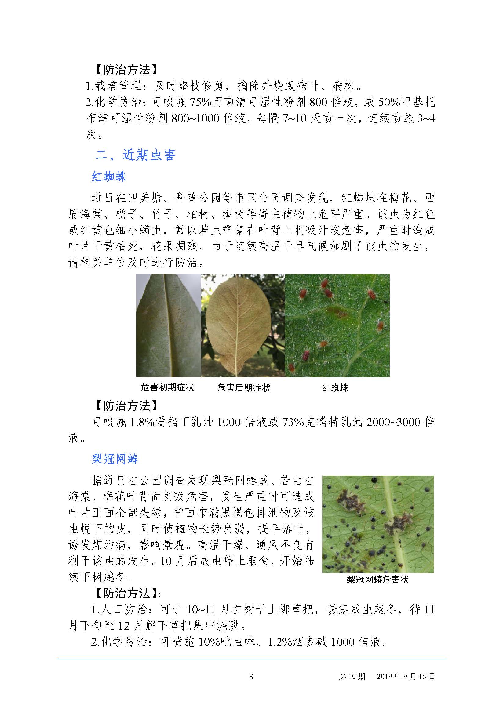 武汉园林病虫害预测预报 2019 年第10期