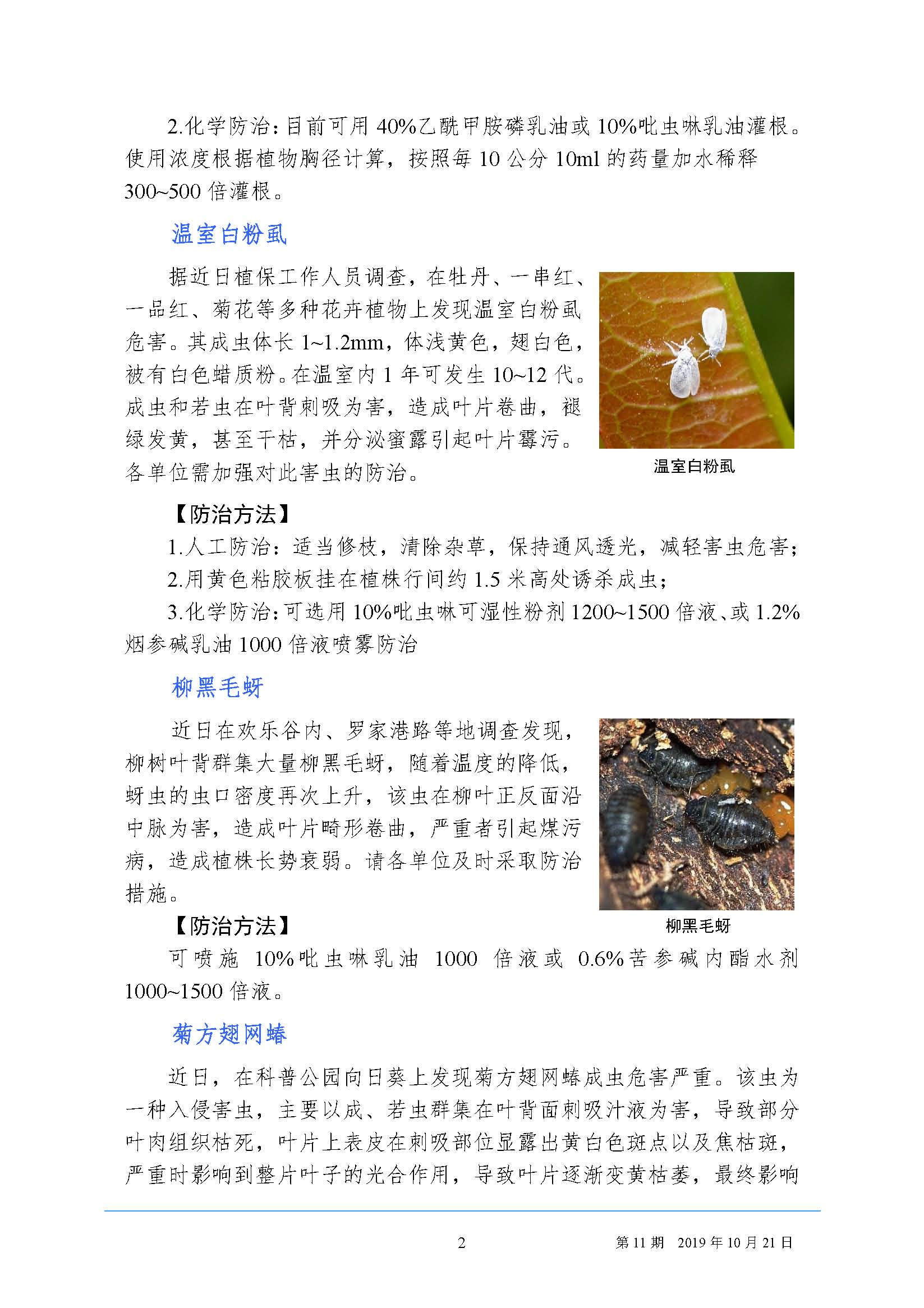 武汉园林病虫害预测预报 2019 年第11期