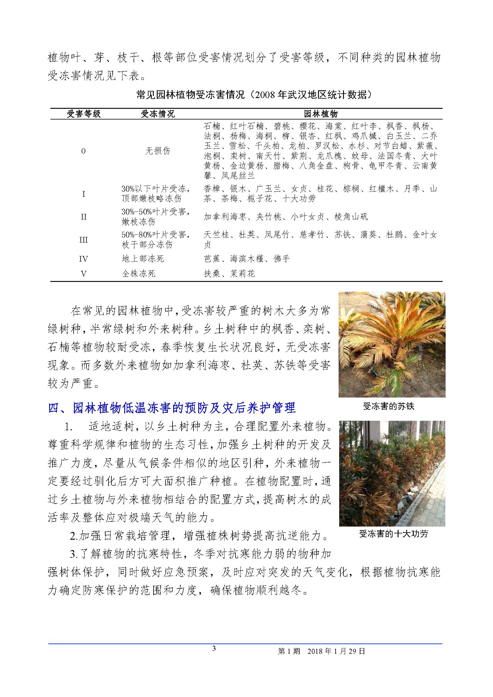 园林植物冻害专刊