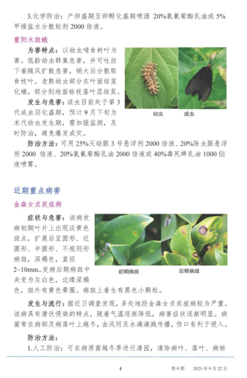 武汉园林病虫害预测预报 2021年第9期
