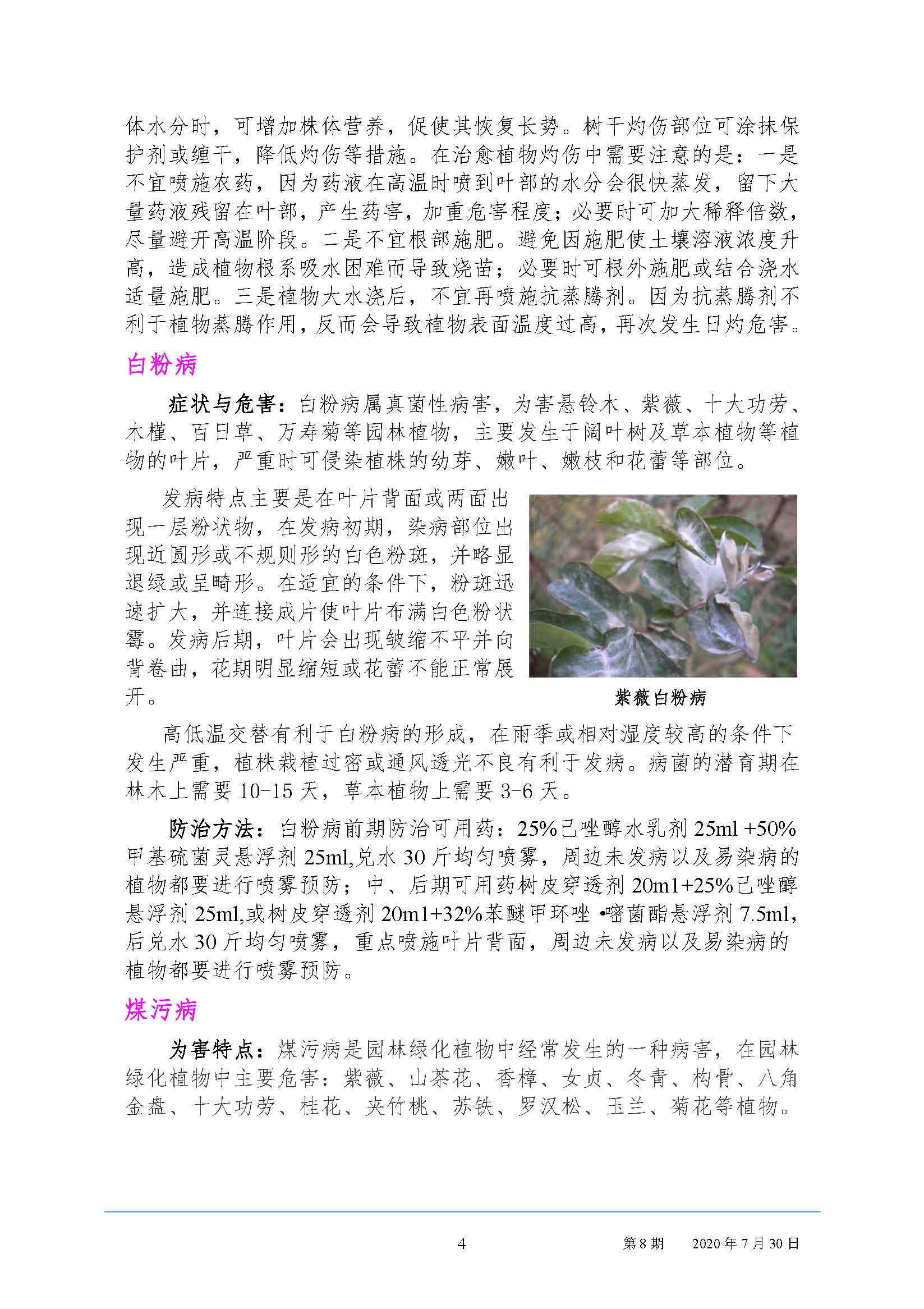 武汉园林病虫害预测预报 2020年第8期