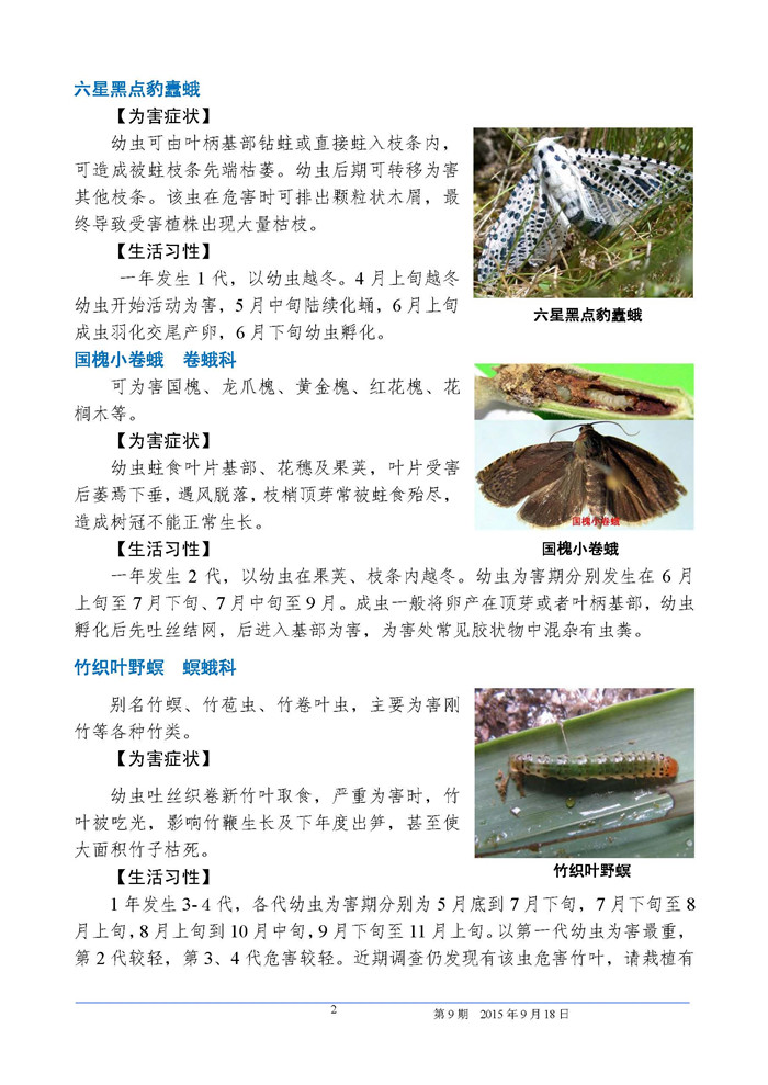 武汉园林植保信息2015年第9期