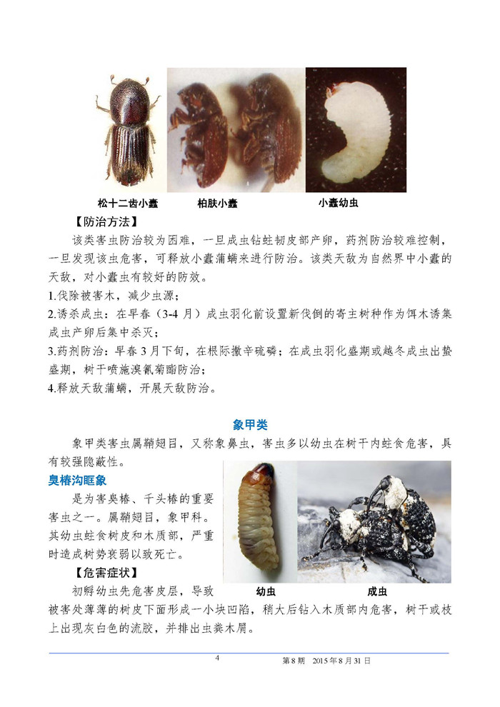 武汉园林植保信息2015年第 8 期