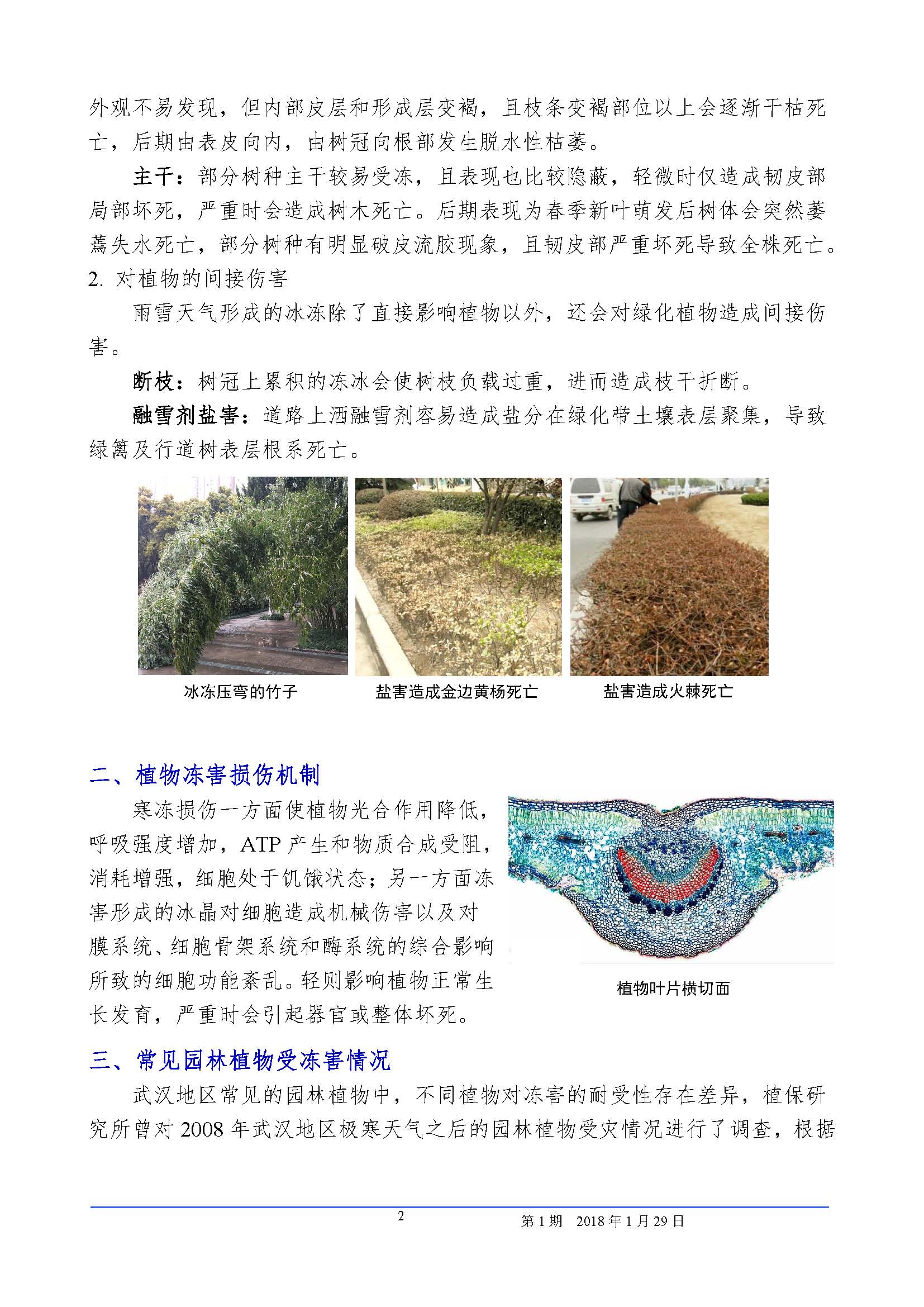 园林植物冻害专刊
