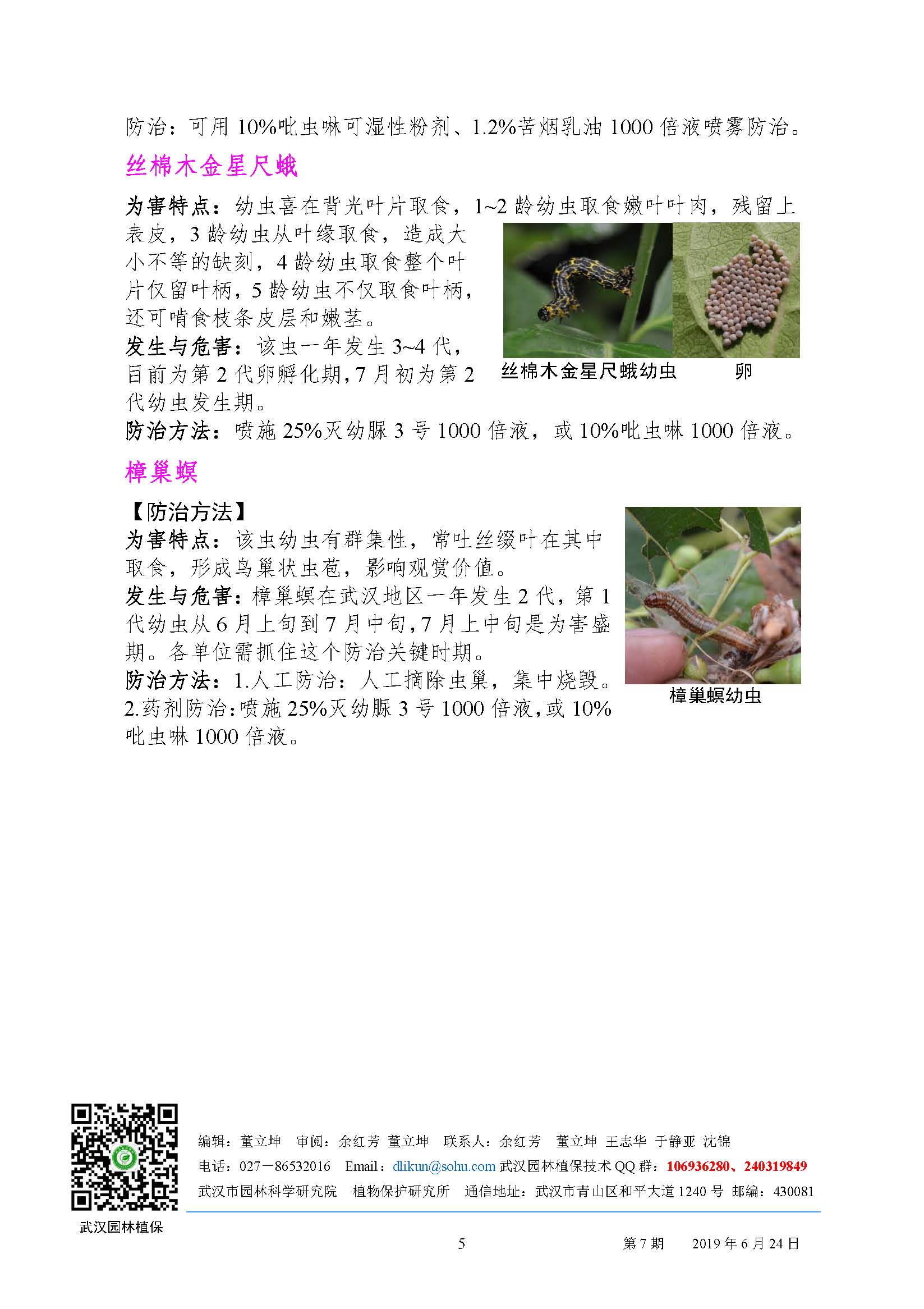 武汉园林病虫害预测预报 2019 年第 7期