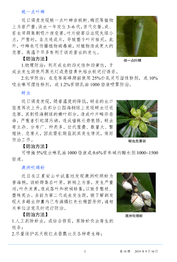武汉园林病虫害预测预报 2019 年第 10 期