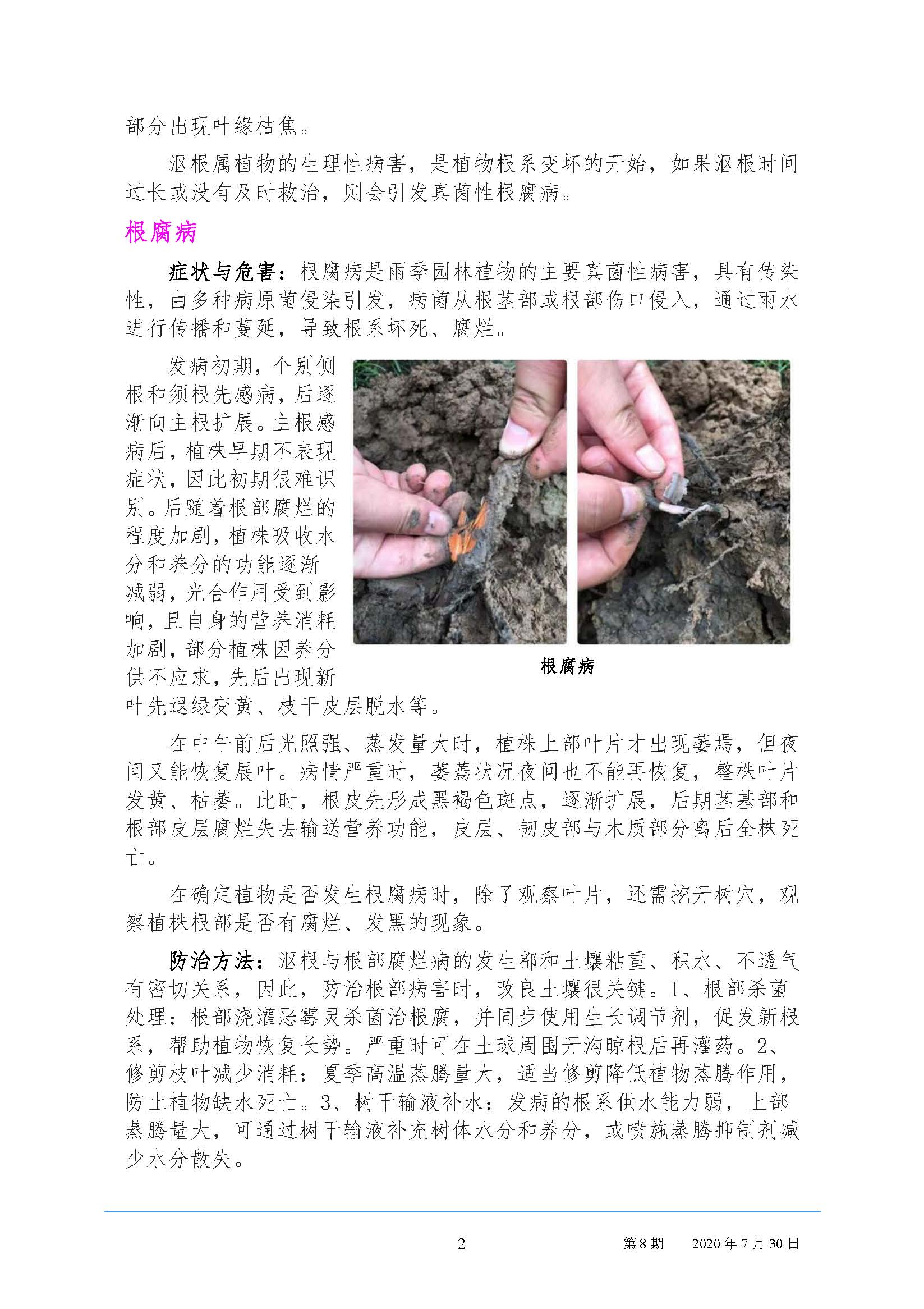 武汉园林病虫害预测预报 2020年第8期