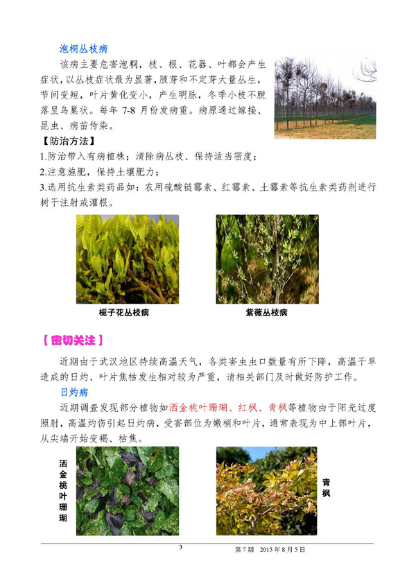 武汉园林植保信息2015年第7期