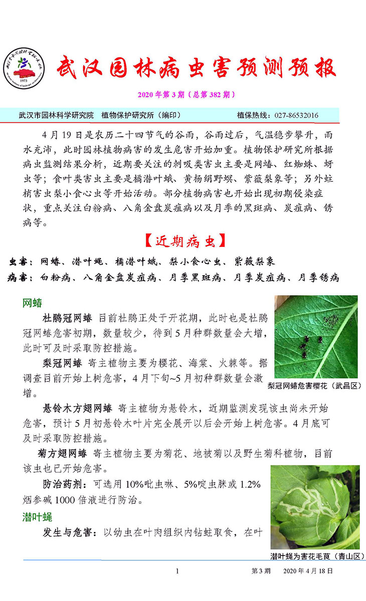 武汉园林病虫害预测预报 2020年第3期
