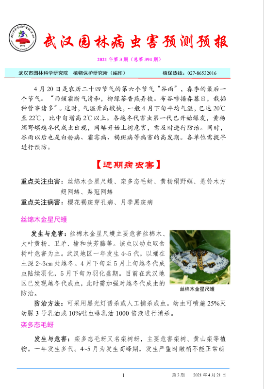武汉园林病虫害预测预报 2021年第3期