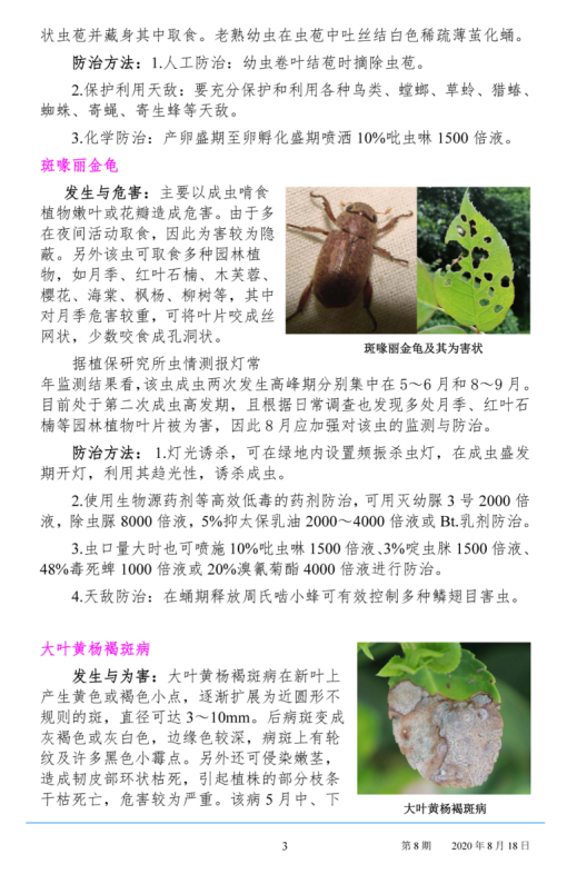 武汉园林病虫害预测预报 2020年第9期