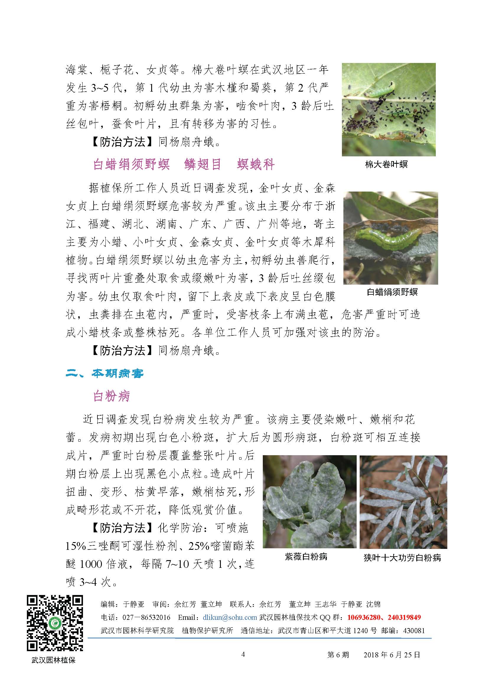 武汉园林病虫害预测预防2018年第六期