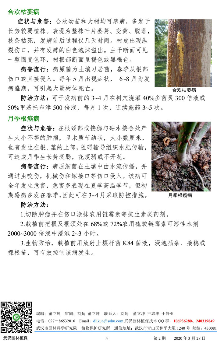 武汉园林病虫害预测预报 2020年第2期