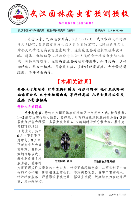 武汉园林病虫害预测预报 2020年第9期