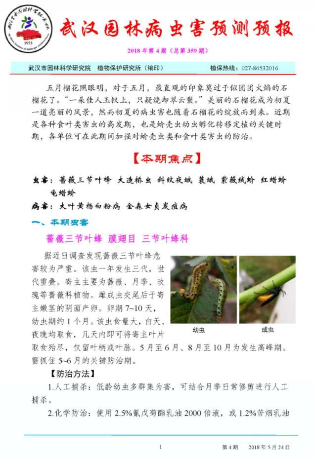 武汉园林病虫害预测预报2018年第四期